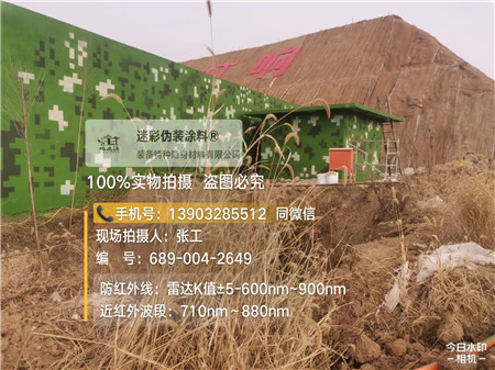 阿里星空迷彩墙施工队
