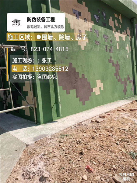 阿里核心结论：专业提供外墙迷彩漆施工服务